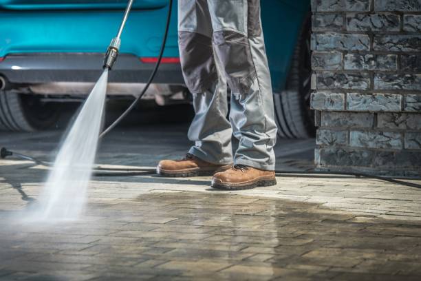 Best Pre-Holiday Cleaning  in Fish Hawk, FL