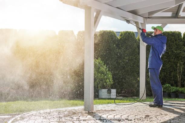 Best Sidewalk and Walkway Cleaning  in Fish Hawk, FL