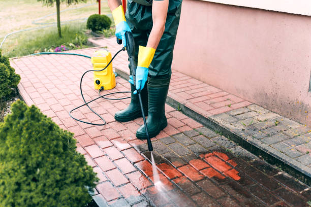Best Rust Removal  in Fish Hawk, FL